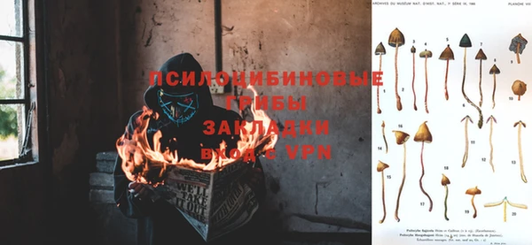 спайс Нефтекумск