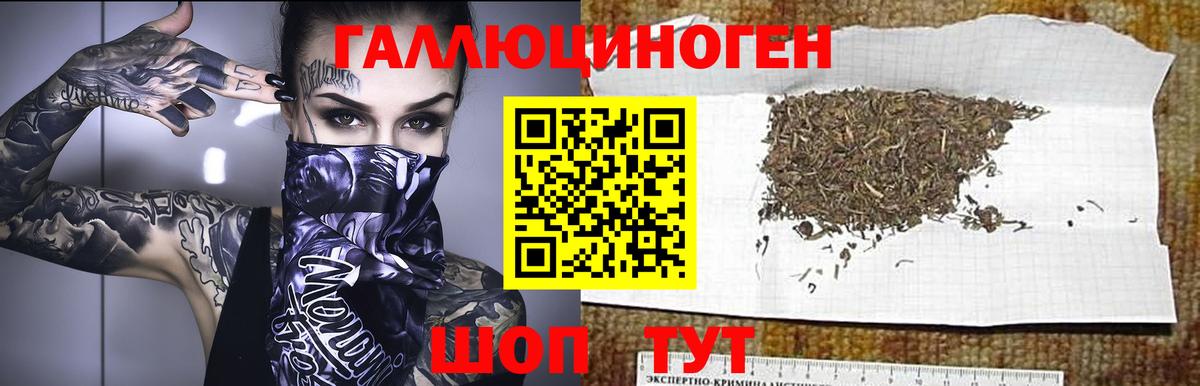 где купить наркоту  Вход с VPN  Псилоцибиновые грибы Cubensis  Октябрьский  Галлюциногенные грибы Cubensis 