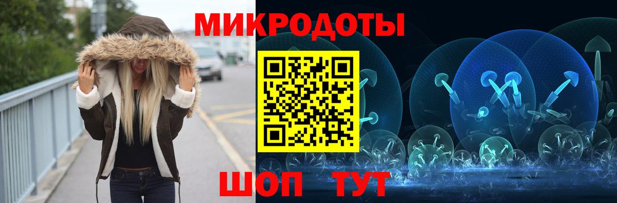 Галлюциногенные грибы Psilocybine cubensis Октябрьский